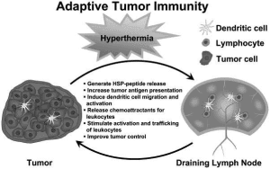 adaptivetumor 300x188